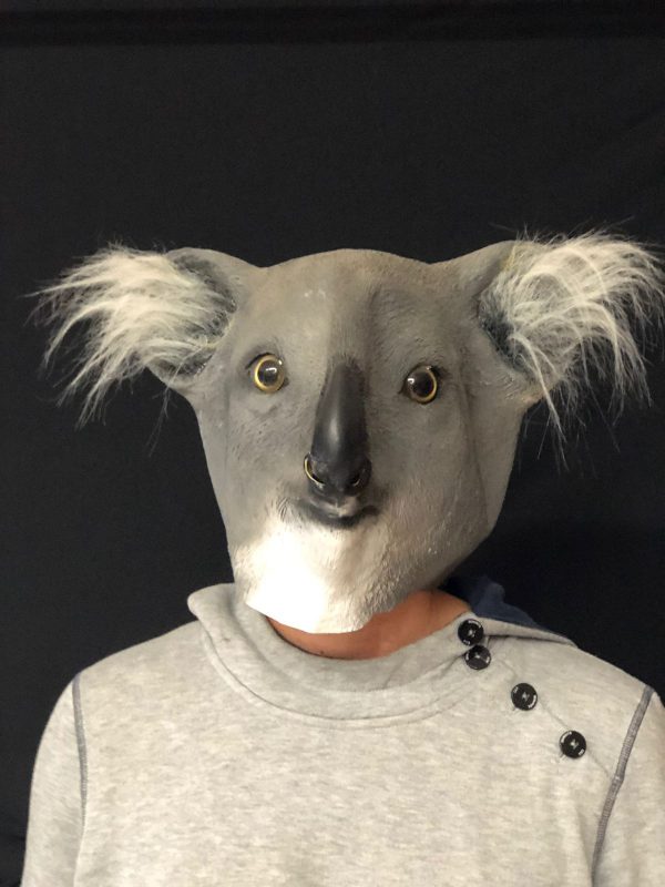 Maske Koala - Figura 1