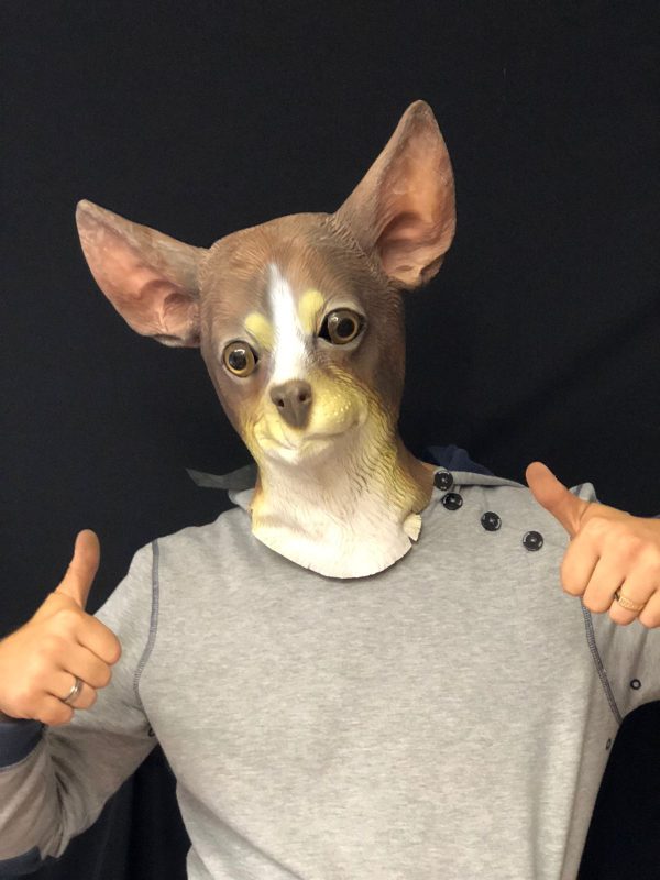 Maske Qeni Chihuahua - Figura 1