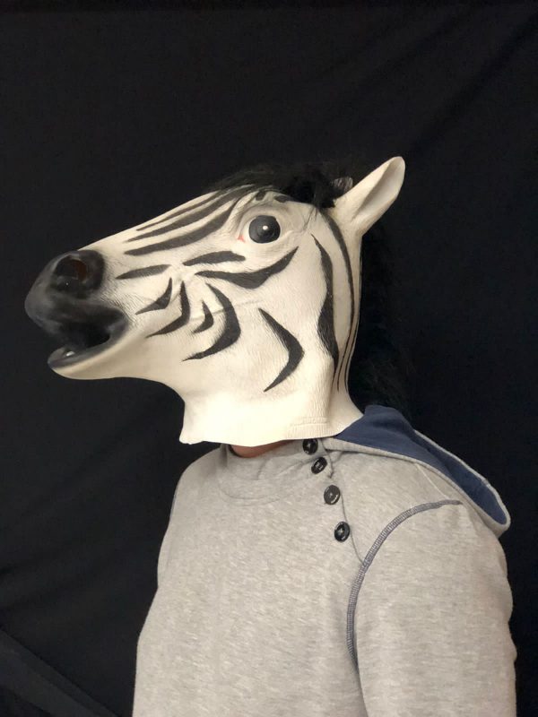 Maske Zebre - Figura 1